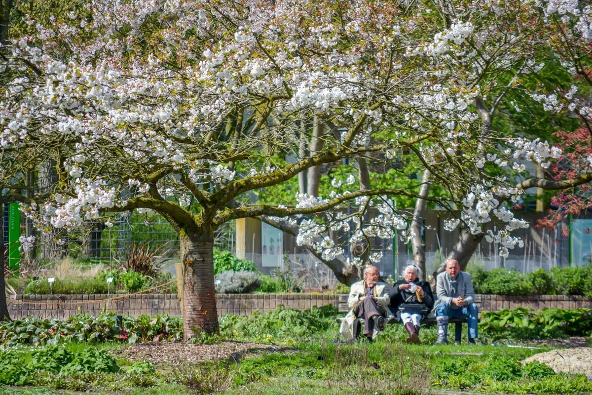 Excursion in Düsseldorf