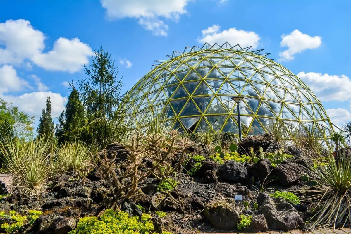 Check Out Düsseldorf’s Botanical Gardens – it’s FREE Entrance