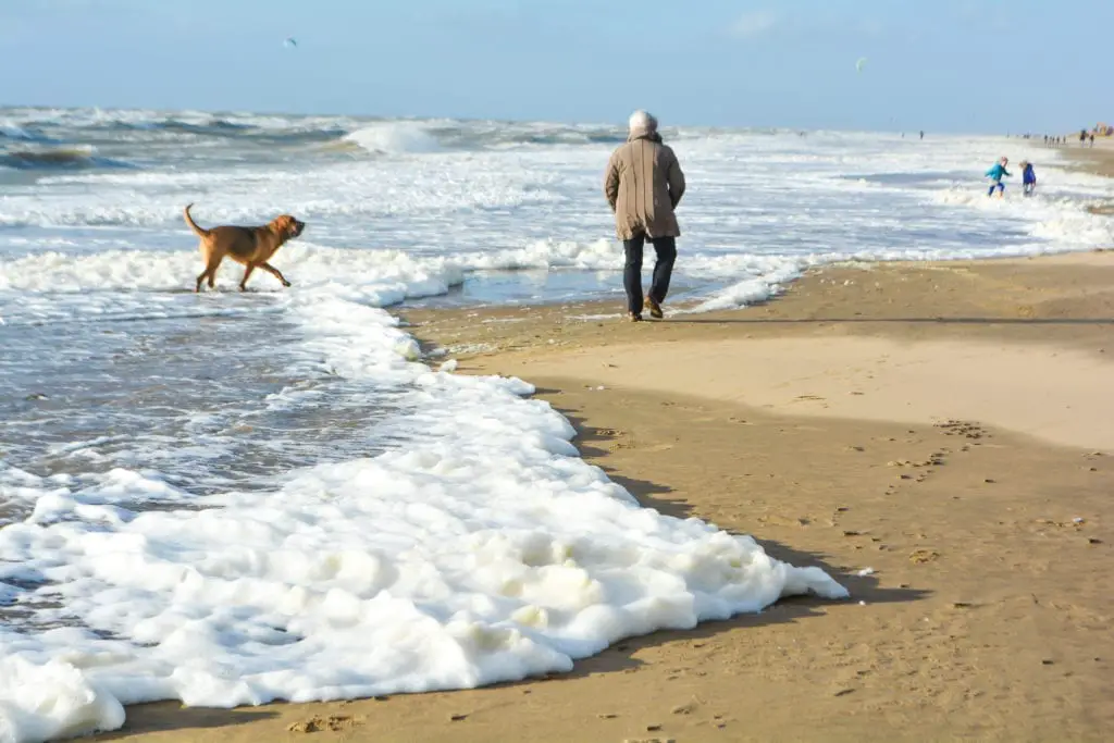 Katwijk