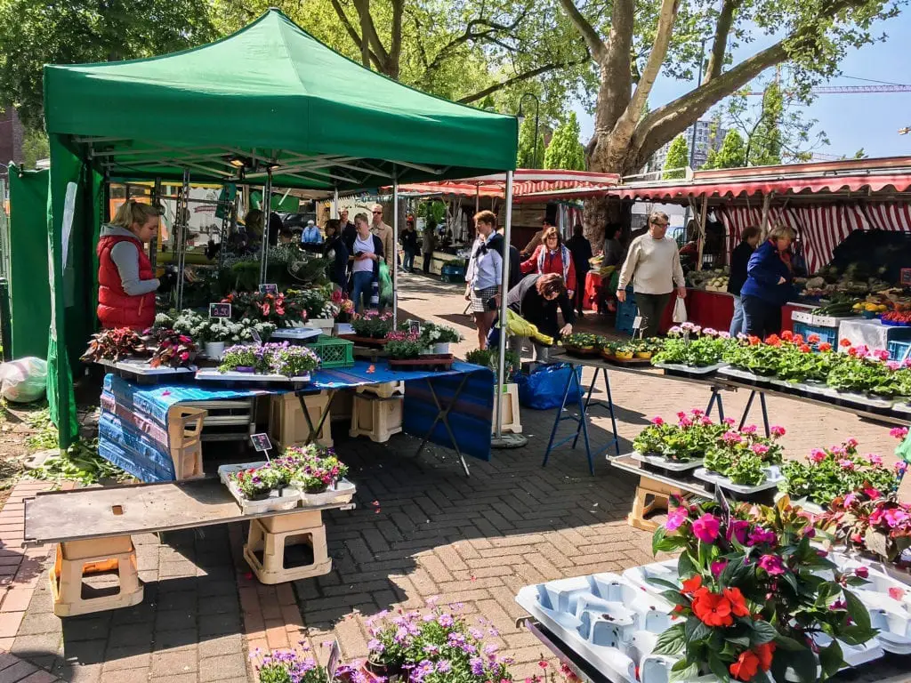 Farmers Market in Dusseldorf-3