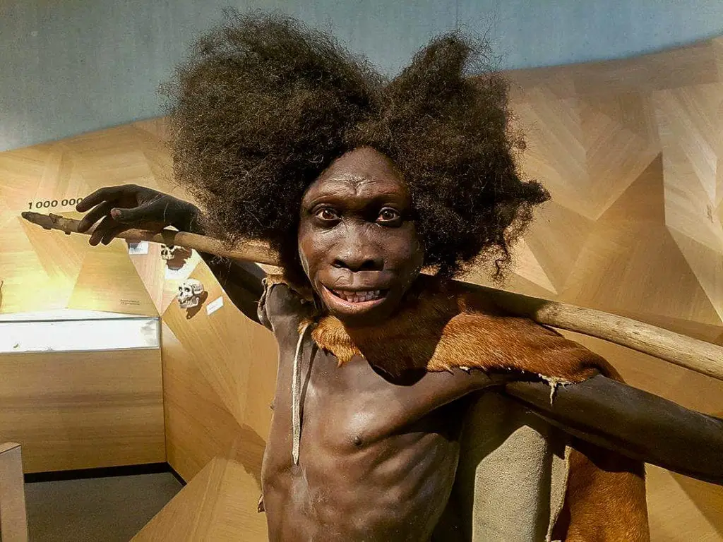 Neanderthal Museum