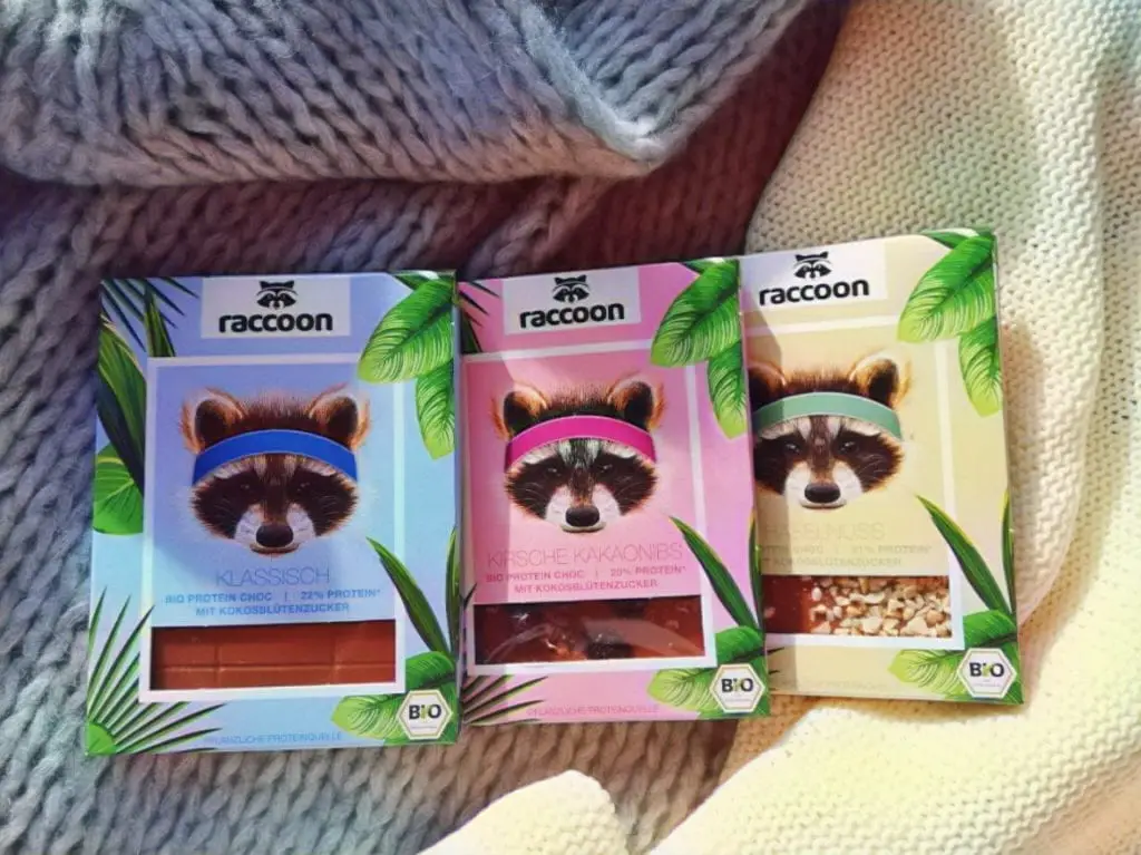 Raccoon Chocolate