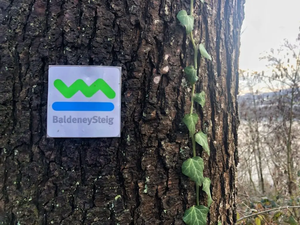 Baldeneysee Hike