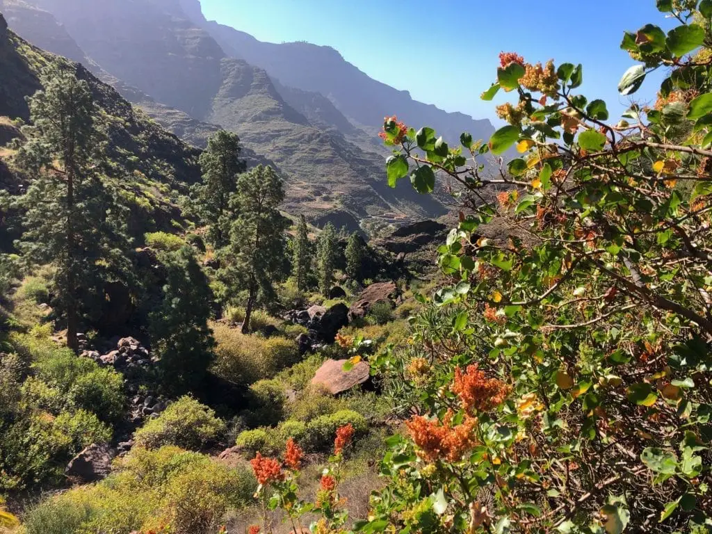 Gran Canaria