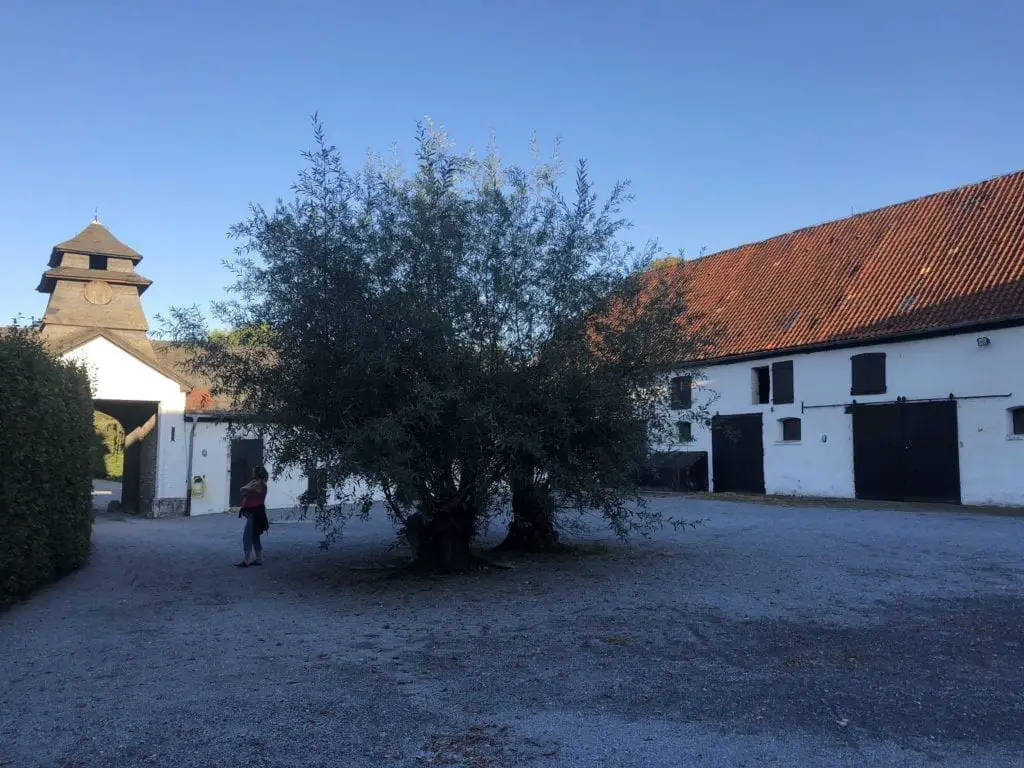 Schloss Meierhof