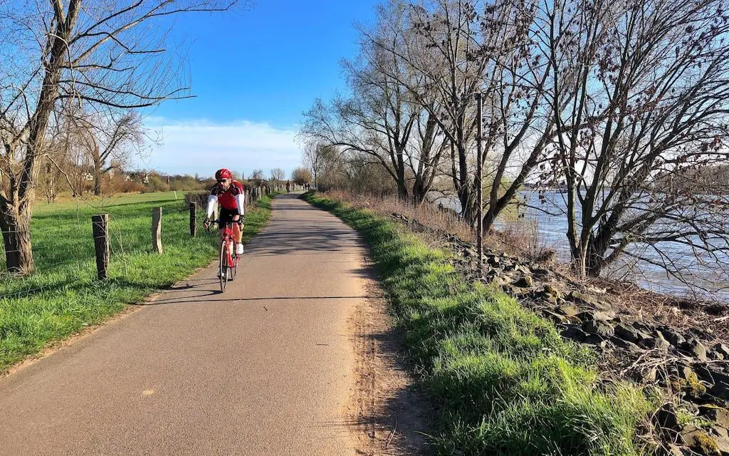 10 of the Most Beautiful Bike Paths in Düsseldorf