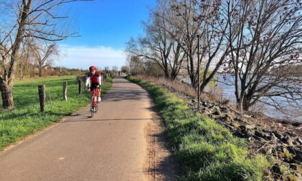 10 of the Most Beautiful Bike Paths in Düsseldorf