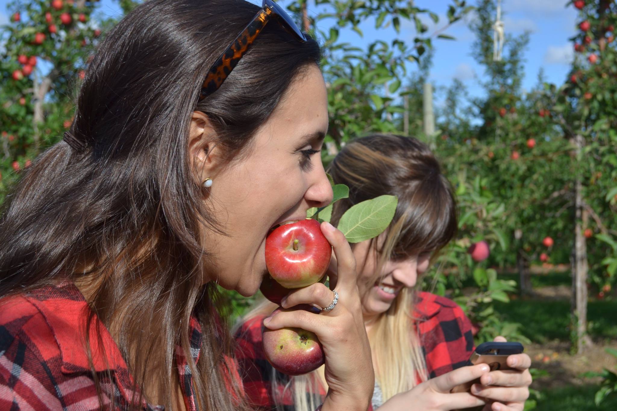 7 Beautiful Orchards for Apple Picking near Düsseldorf