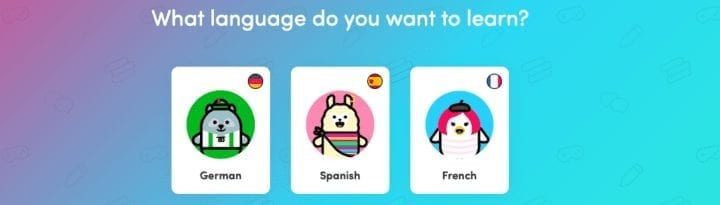 Chatterbug Learn German