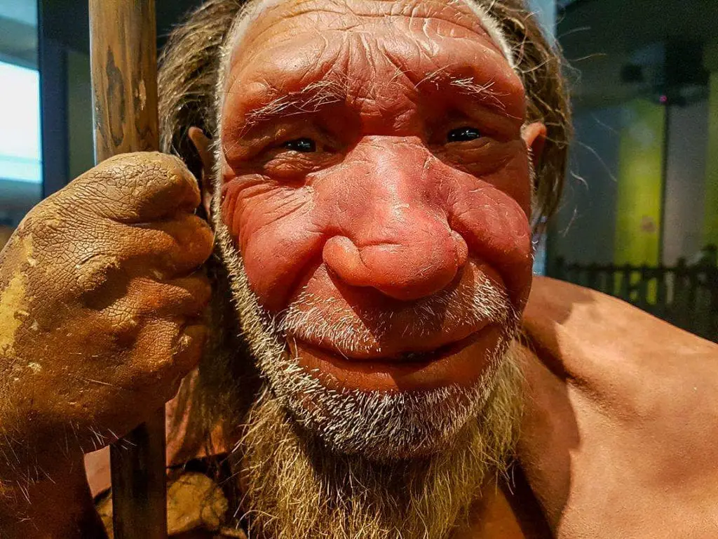 Neanderthal Museum