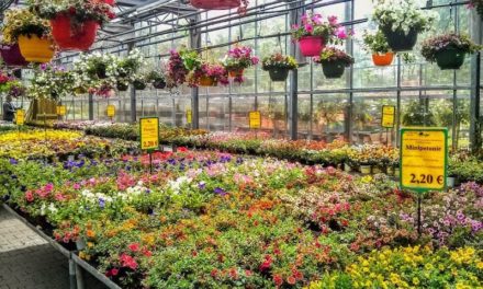 11 Awesome Stores to Buy Gardening Supplies in Düsseldorf