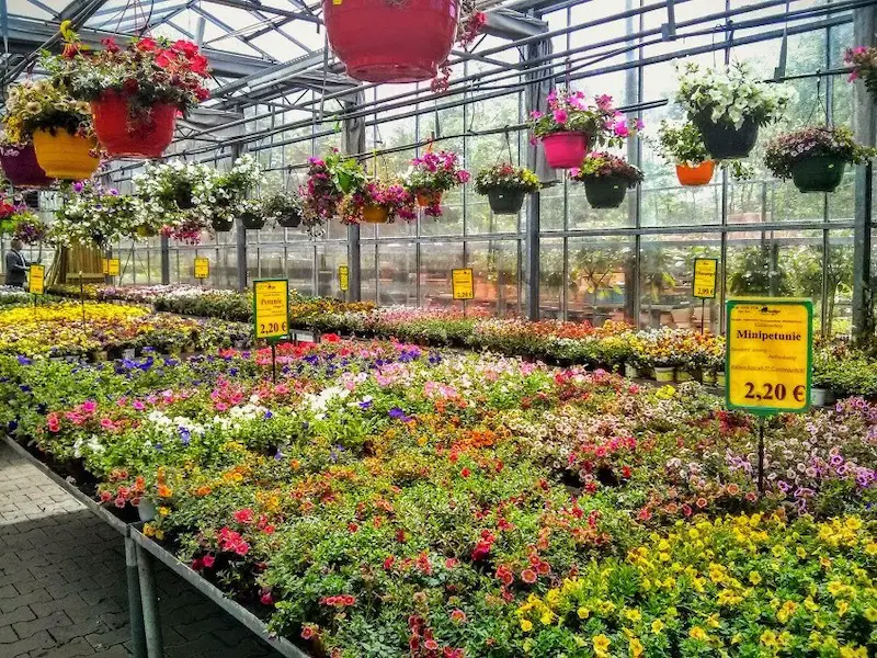 11 Awesome Stores to Buy Gardening Supplies in Düsseldorf