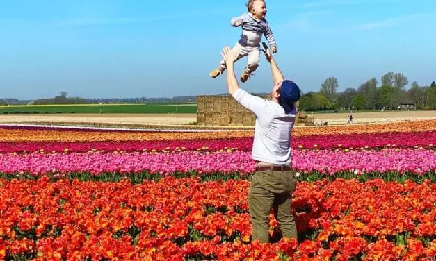 Check Out These Stunning Tulip Fields Just 15 Minutes From Düsseldorf