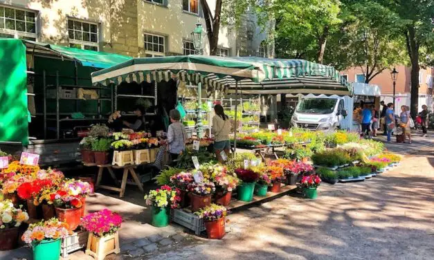 15 of the Most Charming Farmers’ Markets in Düsseldorf