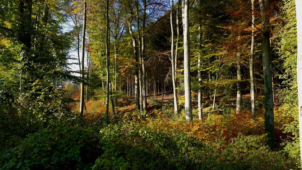 DAY TRIP: The Kettwiger Panoramasteig | A Gorgeous Hike Along The Ruhr