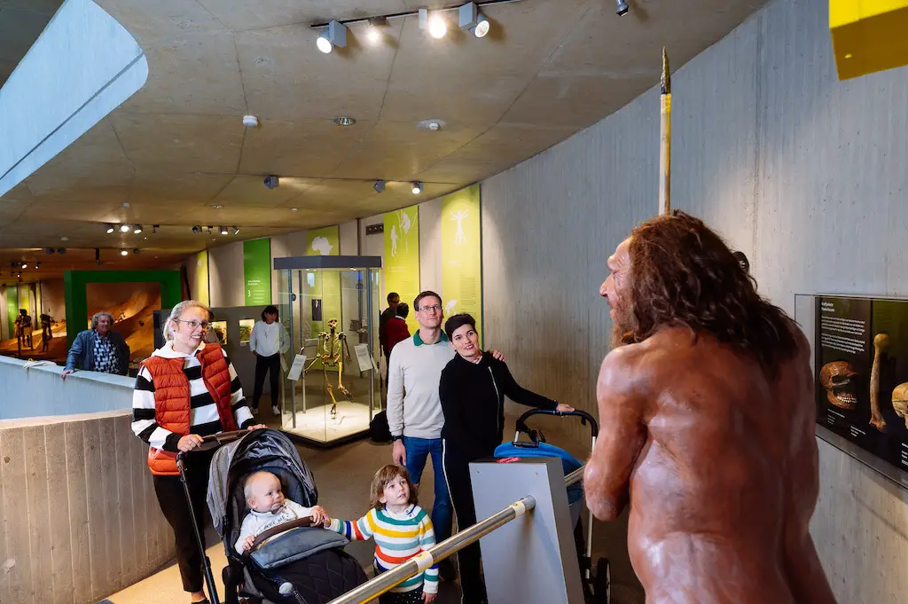 Neanderthal Museum