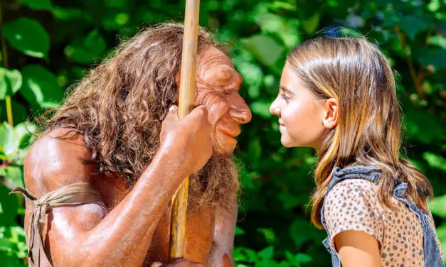 NRWs most interactive experience for the whole family | The Neanderthal Museum