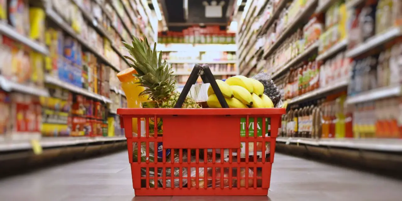 Your Guide To German Grocery Stores | Learn How To Shop Like a Local