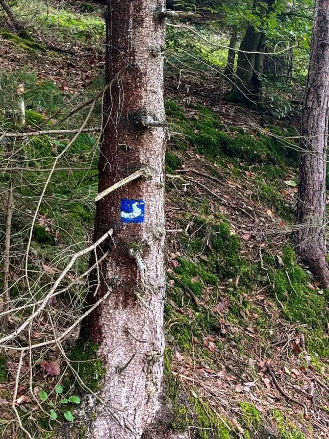 Hiking the Natursteig Sieg from Rosbach to Au